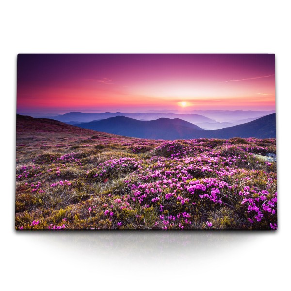 Paul Sinus Art 120x80cm Wandbild auf Leinwand Berglandschaft Alpen Blumenwiese Sonnenuntergang Alpen