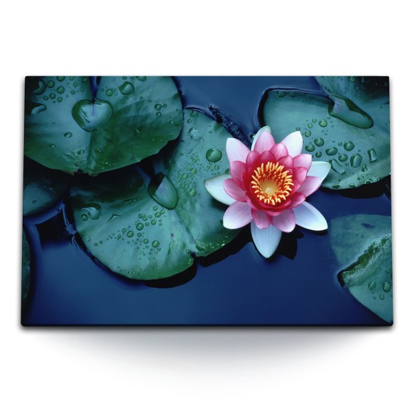 Paul Sinus Art 120x80cm Wandbild auf Leinwand Lotusblume Lotus Wasserblume Teich Rosa Blüte