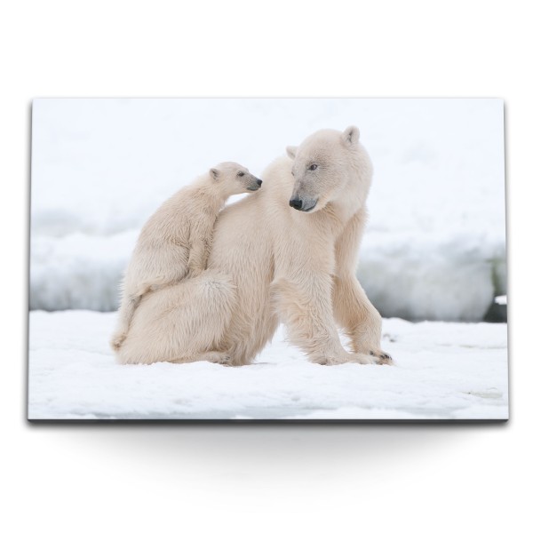 Paul Sinus Art 120x80cm Wandbild auf Leinwand Eisbär Mama mit Kind Tierfotografie Schnee Wildnis