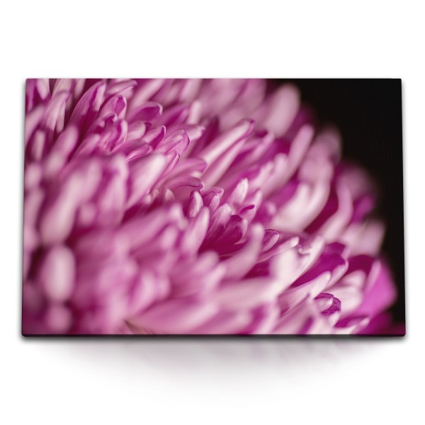 Paul Sinus Art 120x80cm Wandbild auf Leinwand Blume Blüte Nahaufnahme Rosa Dekorativ