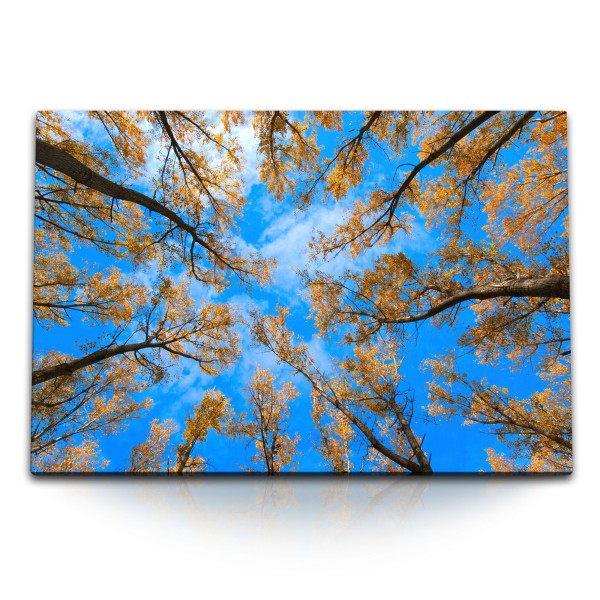 Paul Sinus Art 120x80cm Wandbild auf Leinwand Baumkronen blauer Himmel Herbstblätter Natur