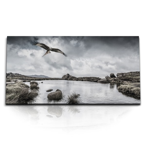 Paul Sinus Art Kunstdruck Bilder 120x60cm Adler Weißkopfadler USA See Natur grauer Himmel