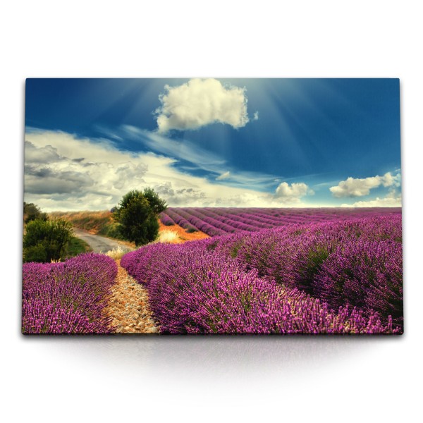 Paul Sinus Art 120x80cm Wandbild auf Leinwand Lavendel Lavendelfeld blauer Himmel Natur Landschaft