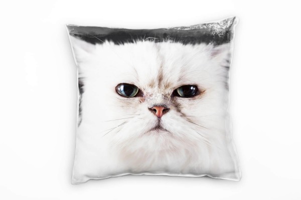 Paul Sinus Art Tiere, Katze, weiß, grau Deko Kissen 40x40cm für Couch Sofa Lounge Zierkissen