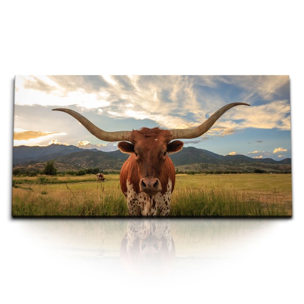 Paul Sinus Art Kunstdruck Bilder 120x60cm Texas Longhorn Stier Bulle Tierfotografie Rind