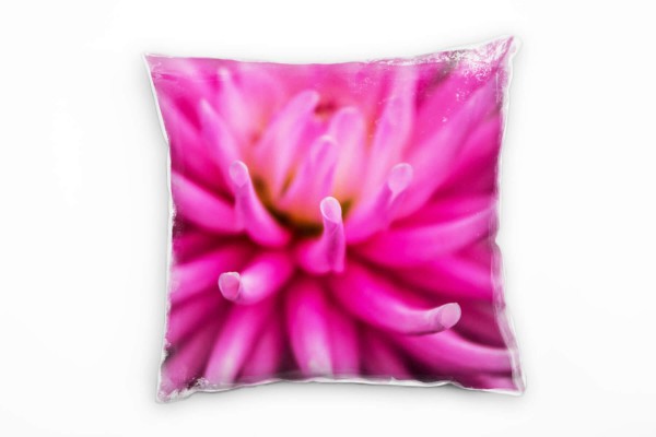 Paul Sinus Art Marco, Blumen, Aster, pink Deko Kissen 40x40cm für Couch Sofa Lounge Zierkissen