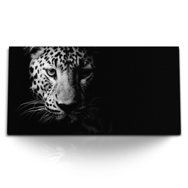 Paul Sinus Art Kunstdruck Bilder 120x60cm Schwarz Weiß Tierfotografie Jaguar Raubkatze Raubtier