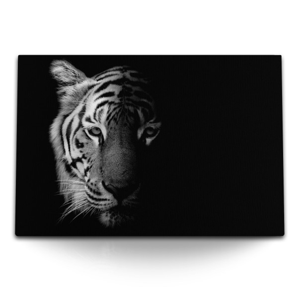 Paul Sinus Art 120x80cm Wandbild auf Leinwand Tiger Porträt Raubkatze Raubtier Schwarz Weiß