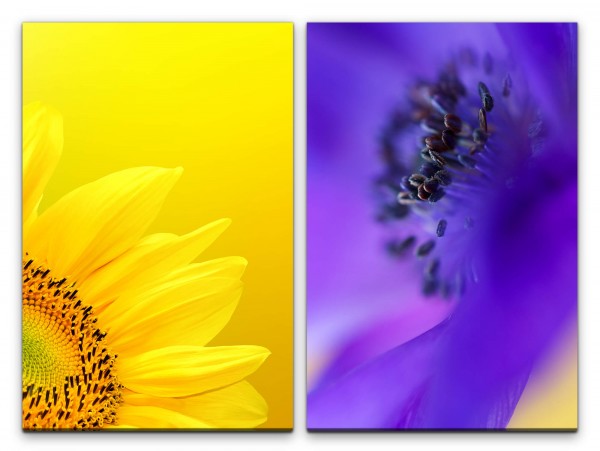 Paul Sinus Art 2 Bilder je 60x90cm Sonnenblume Gelb Sommer Blau Blüte Nahaufnahme Makrofotografie