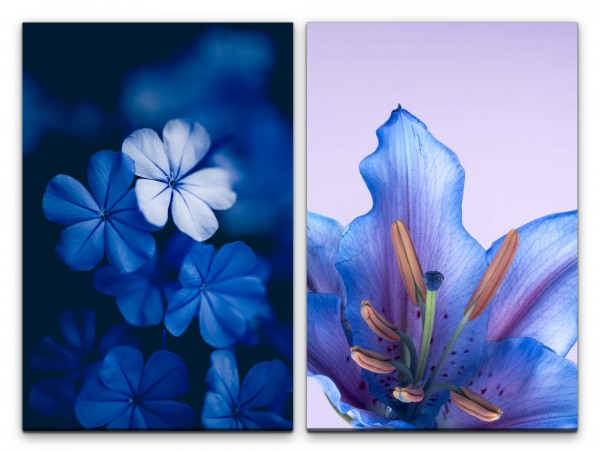 Paul Sinus Art 2 Bilder je 60x90cm Orchidee Blumen Blau Dekorativ Sanft Fotokunst Makrofotografie