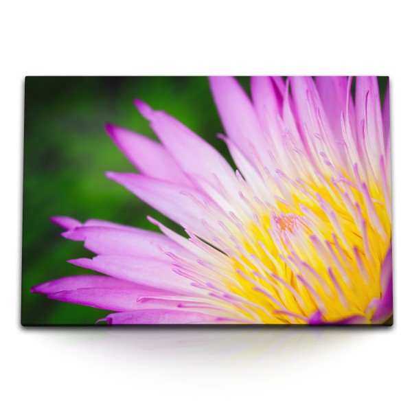 Paul Sinus Art 120x80cm Wandbild auf Leinwand Exotische Blüte Blume Gelb Rosa Nahaufnahme