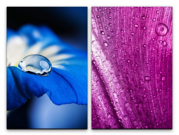 Paul Sinus Art 2 Bilder je 60x90cm Blume blaue Blüte Wassertropfen Sommer Fotokunst Beruhigend Makrofotografie