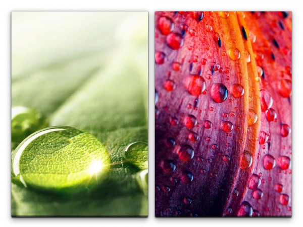 Paul Sinus Art 2 Bilder je 60x90cm Grün Wassertropfen Frisch Blatt Blüte Nahaufnahme Makrofotografie