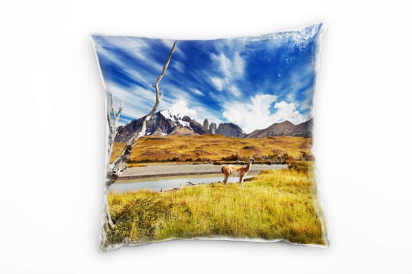 Paul Sinus Art Landschaft, Tiere, grün, blau, Chile Deko Kissen 40x40cm für Couch Sofa Lounge Zierkissen