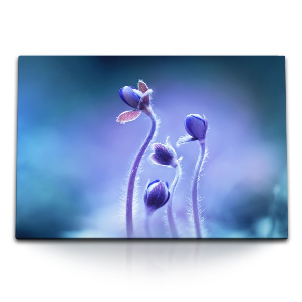 Paul Sinus Art 120x80cm Wandbild auf Leinwand Blumen Blumenknospe Blau Hellblau Fotokunst