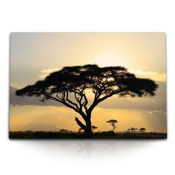 Paul Sinus Art 120x80cm Wandbild auf Leinwand Afrikanische Landschaft Burkea Baum Sonnenuntergang