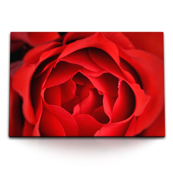 Paul Sinus Art 120x80cm Wandbild auf Leinwand Rosenblüte Rose Rot Blume Schlafzimmer Fotokunst