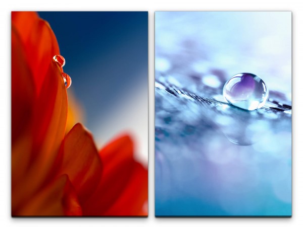 Paul Sinus Art 2 Bilder je 60x90cm Blume Wasserperle Wassertropfen Rot Blau Fotokunst Makrofotografie