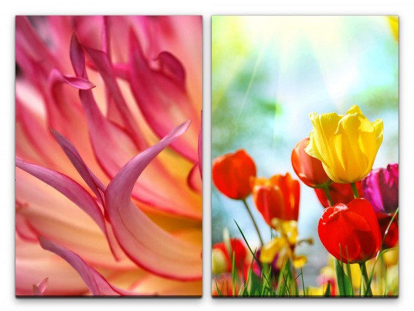 Paul Sinus Art 2 Bilder je 60x90cm Blumen Bunte Tulpen Sommer Sonnenschein Wärme Makrofotografie