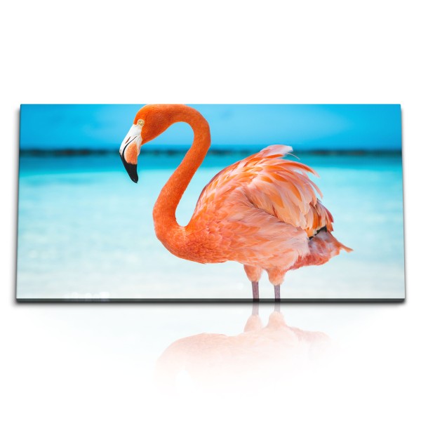 Paul Sinus Art Kunstdruck Bilder 120x60cm Rosa Flamingo Florida USA Meer Sonnenschein Sommer