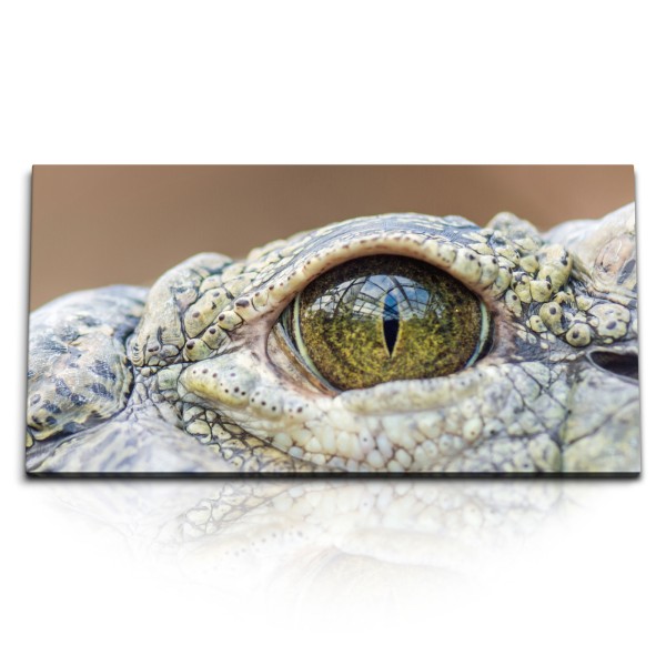 Paul Sinus Art Kunstdruck Bilder 120x60cm Krokodil Krokodilauge Nahaufnahme Tierfotografie Reptil