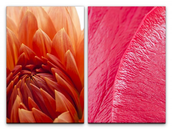 Paul Sinus Art 2 Bilder je 60x90cm Dahlie rote Blume Blüten Nahaufnahme Warm Dekorativ Zart