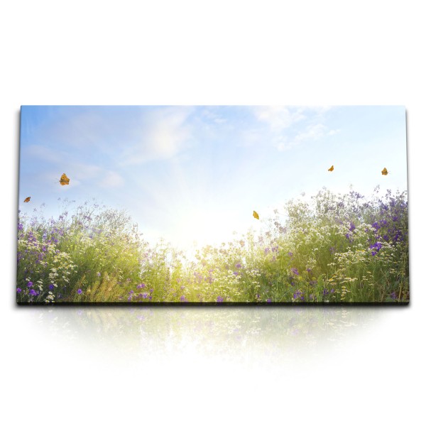 Paul Sinus Art Kunstdruck Bilder 120x60cm Sommerwiese Blumen Gewächs Schmetterlinge Sonnenschein