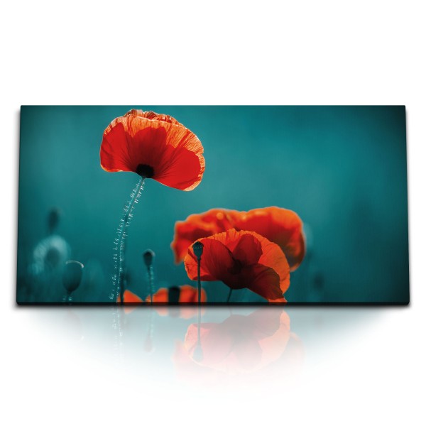 Paul Sinus Art Kunstdruck Bilder 120x60cm Mohnblumen Rote Blumen Wildblumen Natur