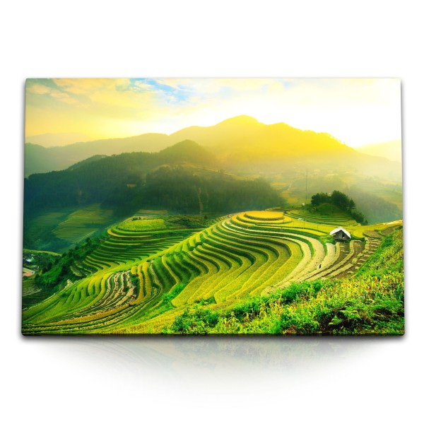 Paul Sinus Art 120x80cm Wandbild auf Leinwand Vietnam Reisfelder Grün Natur Berge Reisanbau