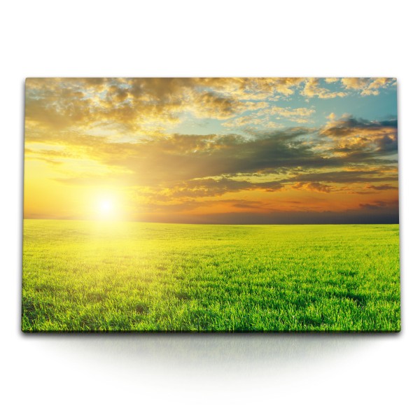 Paul Sinus Art 120x80cm Wandbild auf Leinwand Grünes Feld Natur Landschaft Sonnenuntergang