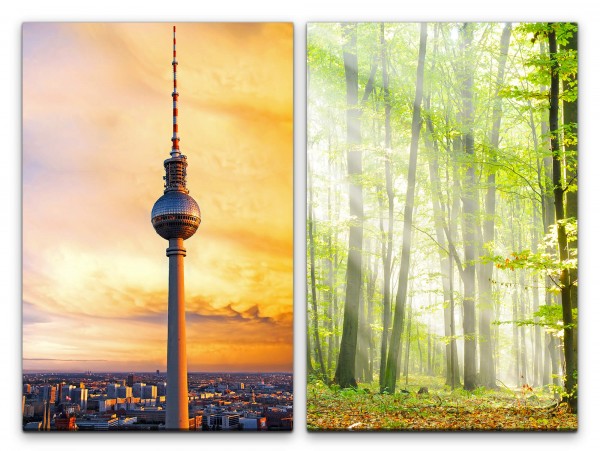 Paul Sinus Art 2 Bilder je 60x90cm Berlin Fernsehturm Wald Herbst Horizont Sonnenschein Sonnenstrahlen