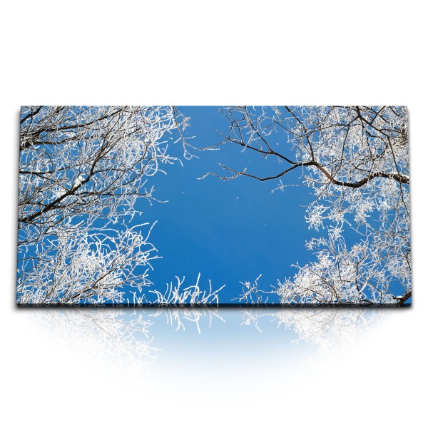 Paul Sinus Art Kunstdruck Bilder 120x60cm Blauer Himmel Bäume Äste Winter Baumkronen