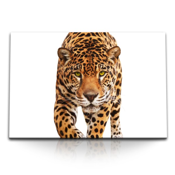 Paul Sinus Art 120x80cm Wandbild auf Leinwand Jaguar Katze Tierfotografie Raubkatze Leopard