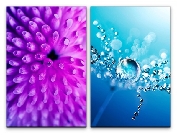 Paul Sinus Art 2 Bilder je 60x90cm Koralle Wasserperle Tropfen Pusteblume Fotokunst Makrofotografie Blau