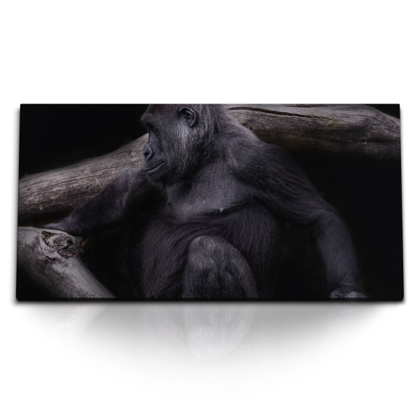 Paul Sinus Art Kunstdruck Bilder 120x60cm Gorilla Tierfotografie Baumstamm Schwarz Affe