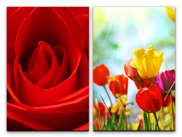 Paul Sinus Art 2 Bilder je 60x90cm Rose Tulpen Blüten Farbenfroh Sommer Sonnenschein Dekorativ