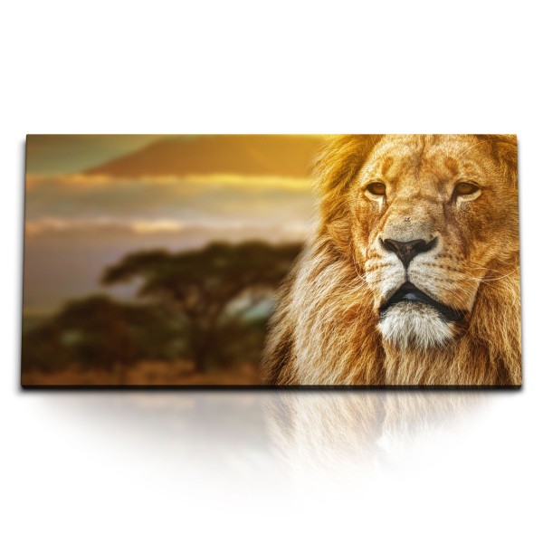 Paul Sinus Art Kunstdruck Bilder 120x60cm Afrika Löwe Tierfotografie Kilimandscharo Wildnis