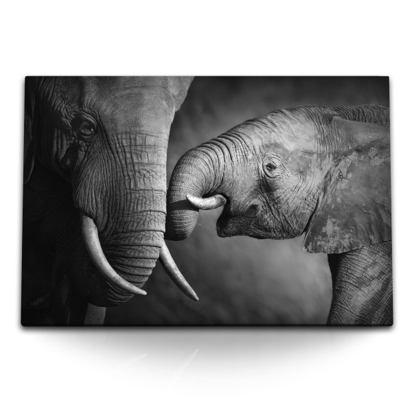 Paul Sinus Art 120x80cm Wandbild auf Leinwand Elefanten Mutter mit Kind Tierfotografie Schwarz Weiß