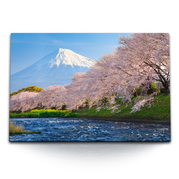 Paul Sinus Art 120x80cm Wandbild auf Leinwand Japan Fuji Vulkan Fluss Kirschbäume Kirschblüten