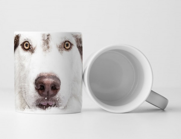 Paul Sinus Art Tasse Geschenk Tierfotografie – Sibirischer Husky mit braunen Augen im Porträt