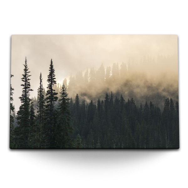 Paul Sinus Art 120x80cm Wandbild auf Leinwand Tannenwald Tannen Nebel Natur Alaska