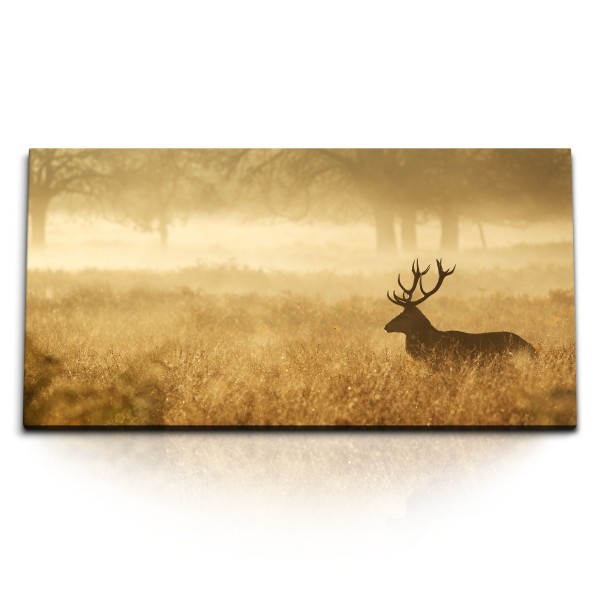 Paul Sinus Art Kunstdruck Bilder 120x60cm Hirsch Grasland Natur Waldrand Morgentau