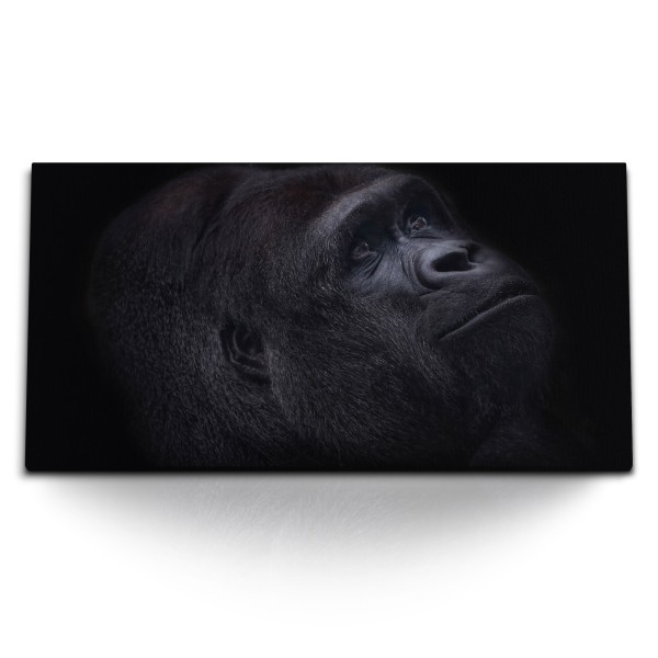 Paul Sinus Art Kunstdruck Bilder 120x60cm Gorilla Porträt Schwarz Silberrücken Tierfotografie