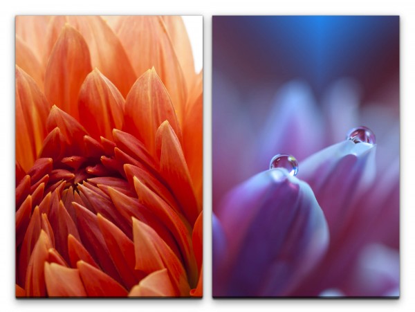 Paul Sinus Art 2 Bilder je 60x90cm Dahlie rote Blume Wassertropfen Blüten Sommer Fotokunst Makro