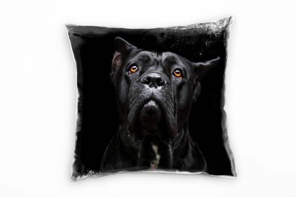 Paul Sinus Art Tiere, Hund, Portrait, schwarz, orange Deko Kissen 40x40cm für Couch Sofa Lounge Zierkissen