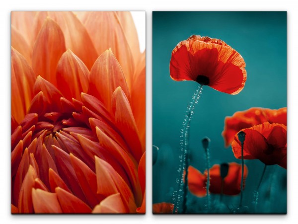 Paul Sinus Art 2 Bilder je 60x90cm Dahlie Mohnblume Blüte Blumen Grün Rot Makro