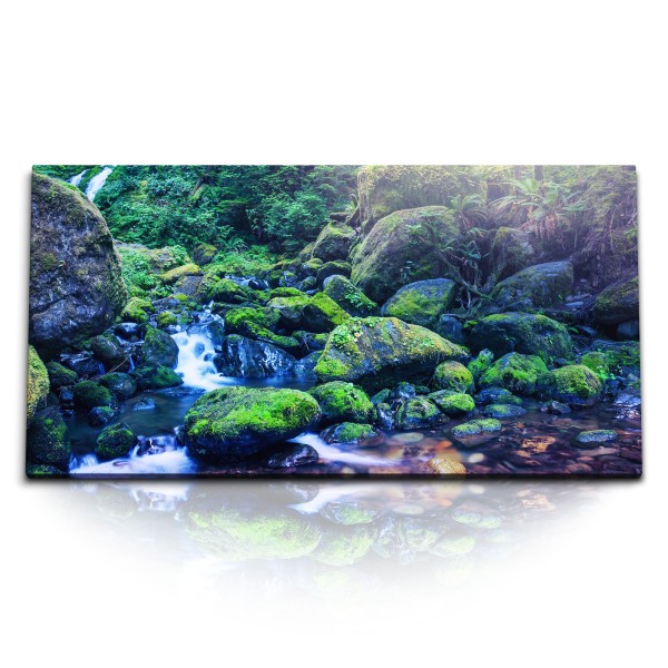 Paul Sinus Art Kunstdruck Bilder 120x60cm Bach Dschungel Natur Tropisch Exotisch Grün