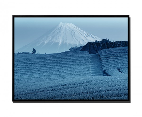 Paul Sinus Art 105x75cm Leinwandbild Petrol Natur Teeplantage Shizuoka, Yapaniyas