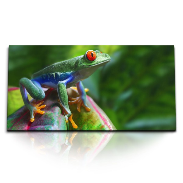 Paul Sinus Art Kunstdruck Bilder 120x60cm Frosch im Dschungel Grün Tropisch Exotisch