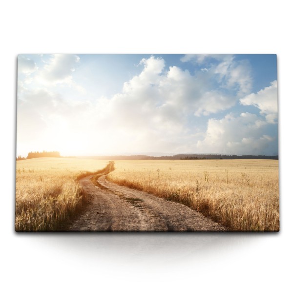 Paul Sinus Art 120x80cm Wandbild auf Leinwand Weizenfeld Landschaft Natur Sonnenschein Feldweg